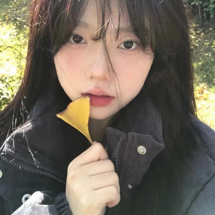 去野吧！毛孩子